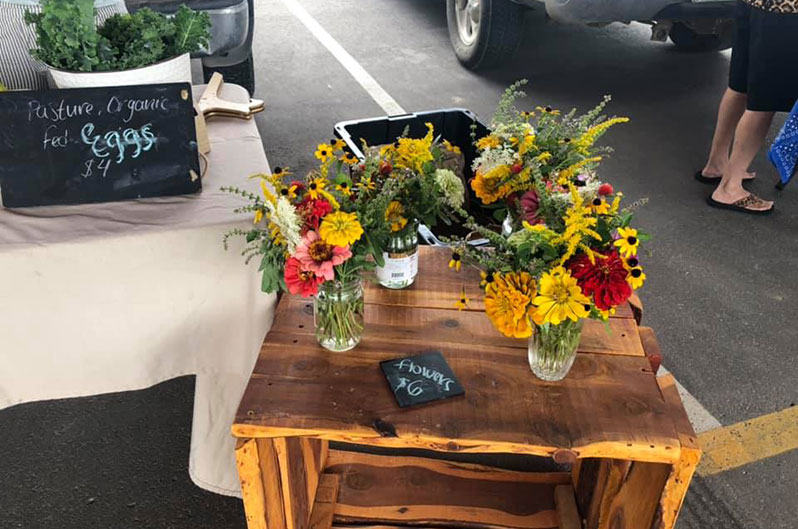 Flowers in vases on display