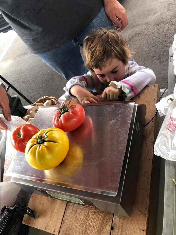 Girl Weighing Heirloom Tomatoes